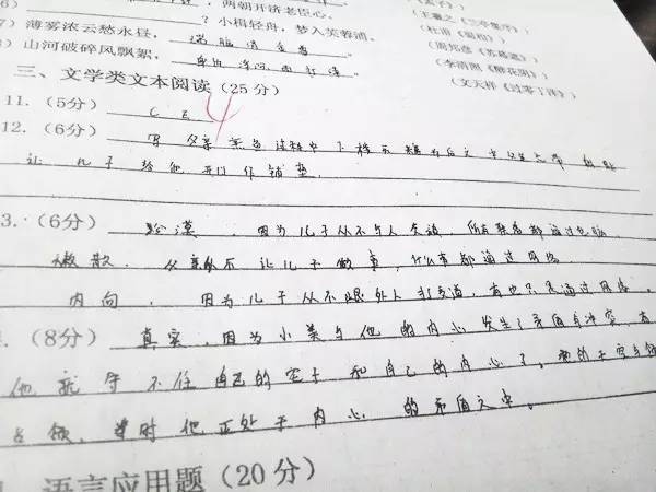 河南輸送設備廠家 河南輸送設備廠家